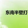 东南半壁打一动物（东南半壁什么意思）