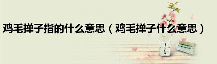 鸡毛掸子指的什么意思（鸡毛掸子什么意思）