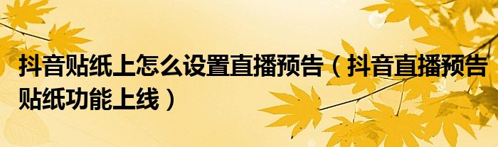 抖音贴纸上怎么设置直播预告（抖音直播预告贴纸功能上线）