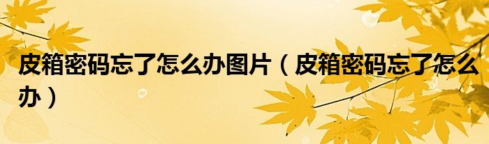 皮箱密码忘了怎么办图片（皮箱密码忘了怎么办）