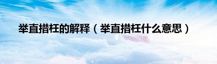 举直措枉的解释（举直措枉什么意思）