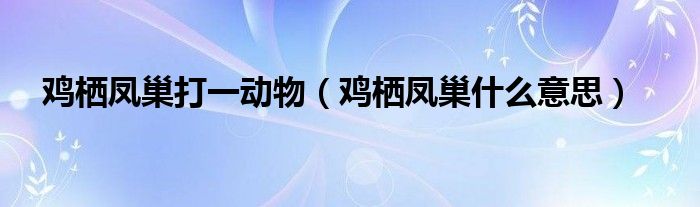 鸡栖凤巢打一动物（鸡栖凤巢什么意思）