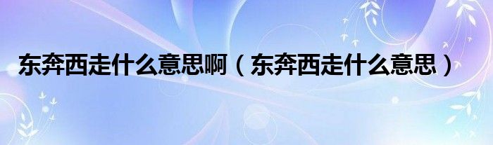 东奔西走什么意思啊（东奔西走什么意思）