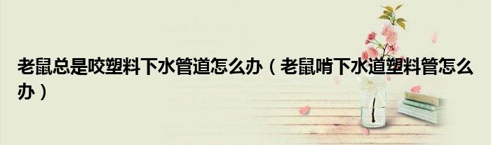 老鼠总是咬塑料下水管道怎么办（老鼠啃下水道塑料管怎么办）
