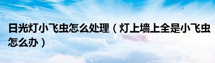 日光灯小飞虫怎么处理（灯上墙上全是小飞虫怎么办）