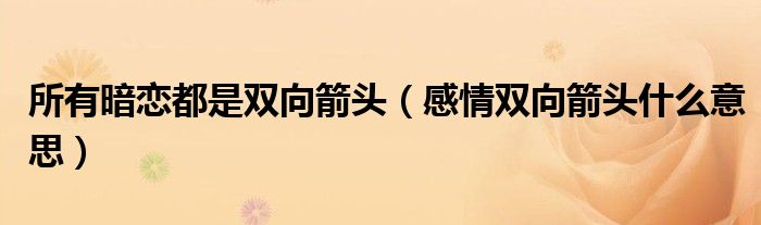 所有暗恋都是双向箭头（感情双向箭头什么意思）