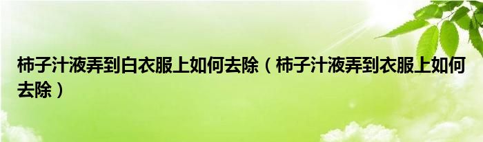 柿子汁液弄到白衣服上如何去除（柿子汁液弄到衣服上如何去除）