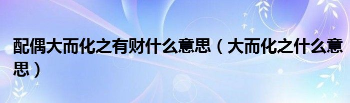 配偶大而化之有财什么意思（大而化之什么意思）