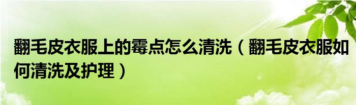 翻毛皮衣服上的霉点怎么清洗（翻毛皮衣服如何清洗及护理）