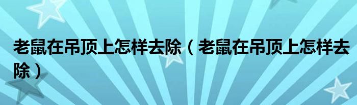 老鼠在吊顶上怎样去除（老鼠在吊顶上怎样去除）