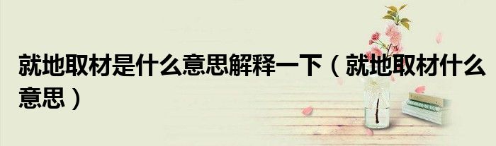 就地取材是什么意思解释一下（就地取材什么意思）