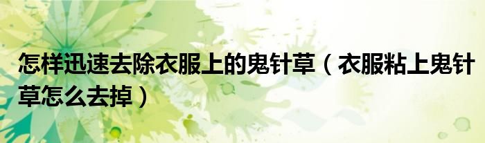 怎样迅速去除衣服上的鬼针草（衣服粘上鬼针草怎么去掉）