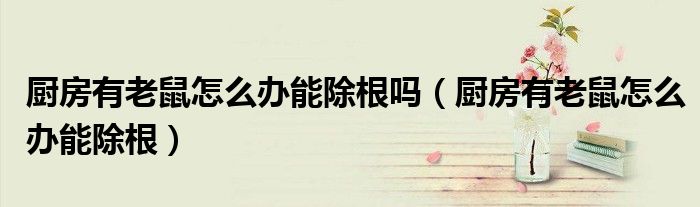 厨房有老鼠怎么办能除根吗（厨房有老鼠怎么办能除根）