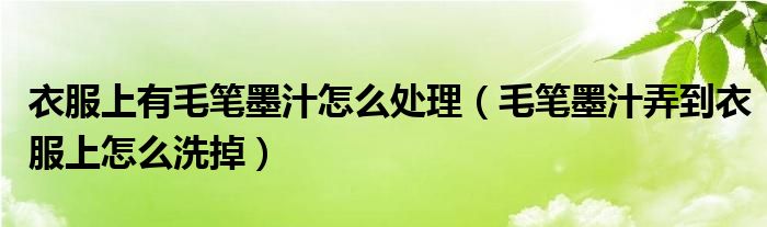衣服上有毛笔墨汁怎么处理（毛笔墨汁弄到衣服上怎么洗掉）