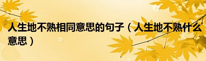 人生地不熟相同意思的句子（人生地不熟什么意思）