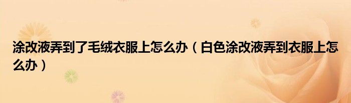 涂改液弄到了毛绒衣服上怎么办（白色涂改液弄到衣服上怎么办）