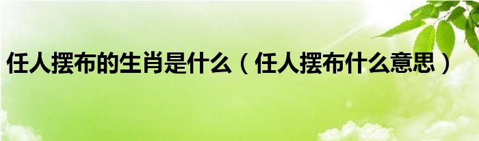 任人摆布的生肖是什么（任人摆布什么意思）