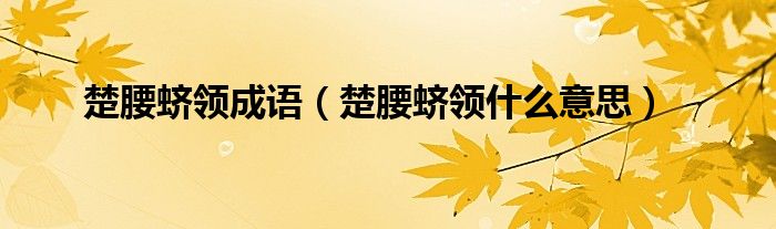 楚腰蛴领成语（楚腰蛴领什么意思）