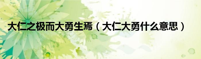 大仁之极而大勇生焉（大仁大勇什么意思）