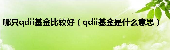 哪只qdii基金比较好（qdii基金是什么意思）