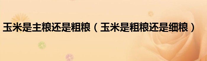 玉米是主粮还是粗粮（玉米是粗粮还是细粮）
