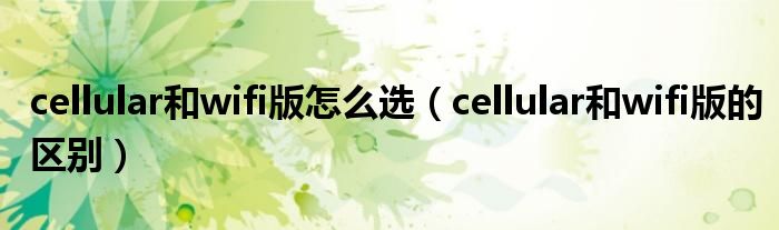 cellular和wifi版怎么选（cellular和wifi版的区别）