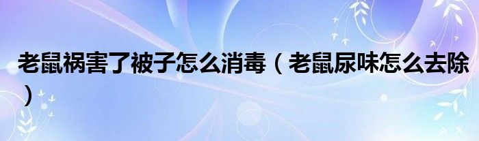 老鼠祸害了被子怎么消毒（老鼠尿味怎么去除）
