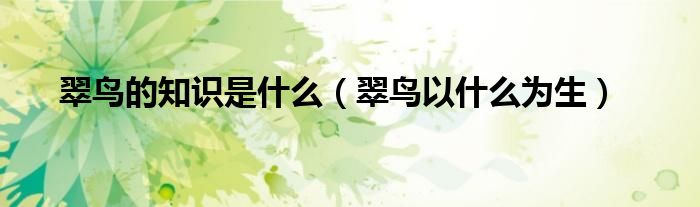 翠鸟的知识是什么（翠鸟以什么为生）