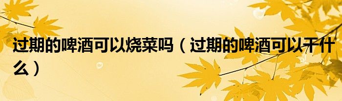 过期的啤酒可以烧菜吗（过期的啤酒可以干什么）