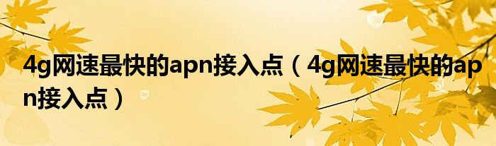 4g网速最快的apn接入点（4g网速最快的apn接入点）