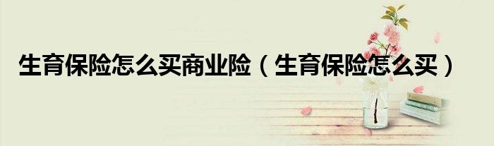 生育保险怎么买商业险（生育保险怎么买）