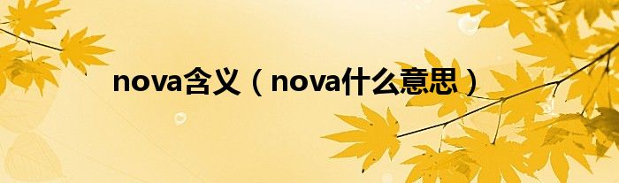 nova含义（nova什么意思）