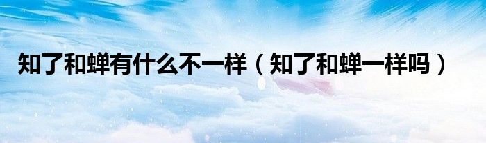 知了和蝉有什么不一样（知了和蝉一样吗）