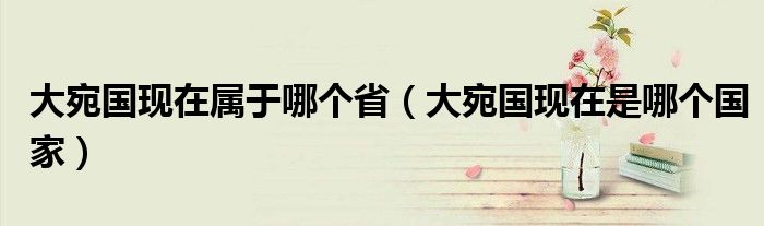 大宛国现在属于哪个省（大宛国现在是哪个国家）