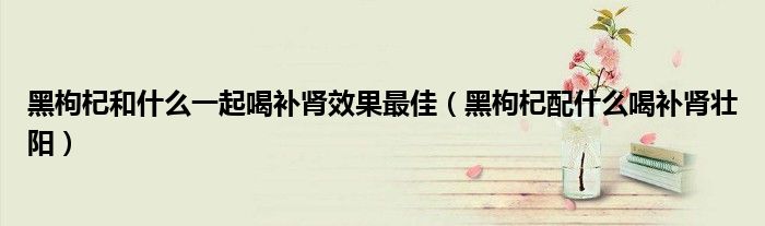 黑枸杞和什么一起喝补肾效果最佳（黑枸杞配什么喝补肾壮阳）