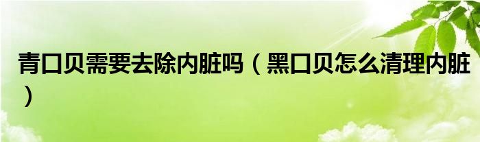 青口贝需要去除内脏吗（黑口贝怎么清理内脏）