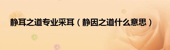 静耳之道专业采耳（静因之道什么意思）