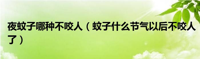 夜蚊子哪种不咬人（蚊子什么节气以后不咬人了）