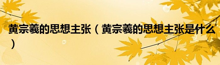 黄宗羲的思想主张（黄宗羲的思想主张是什么）