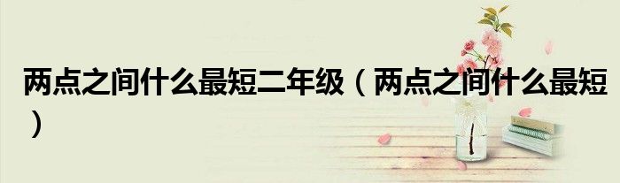 两点之间什么最短二年级（两点之间什么最短）
