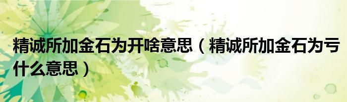 精诚所加金石为开啥意思（精诚所加金石为亏什么意思）
