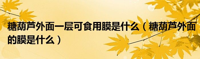 糖葫芦外面一层可食用膜是什么（糖葫芦外面的膜是什么）