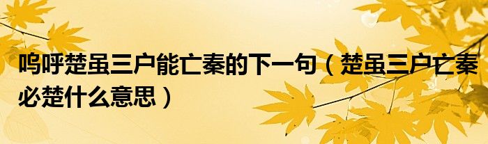 呜呼楚虽三户能亡秦的下一句（楚虽三户亡秦必楚什么意思）
