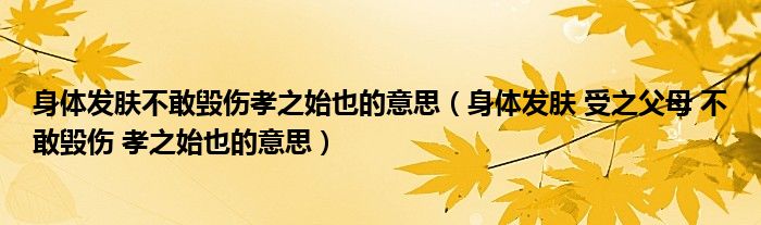 身体发肤不敢毁伤孝之始也的意思（身体发肤 受之父母 不敢毁伤 孝之始也的意思）