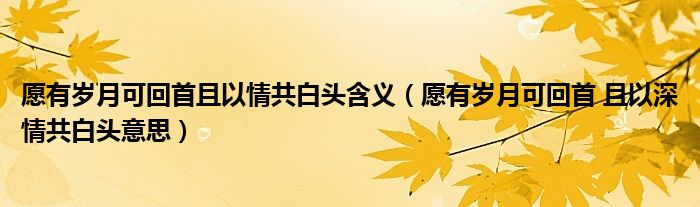 愿有岁月可回首且以情共白头含义（愿有岁月可回首 且以深情共白头意思）