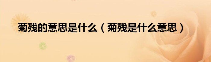 菊残的意思是什么（菊残是什么意思）