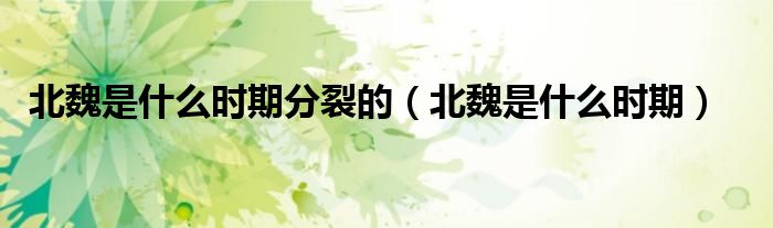 北魏是什么时期分裂的（北魏是什么时期）