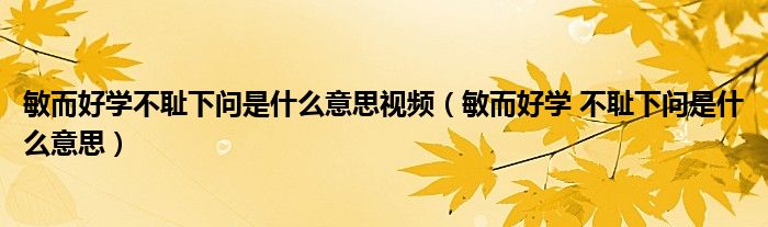 敏而好学不耻下问是什么意思视频（敏而好学 不耻下问是什么意思）
