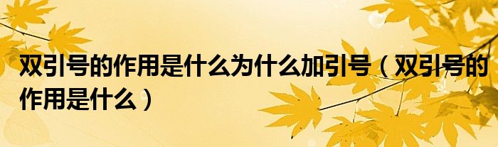 双引号的作用是什么为什么加引号（双引号的作用是什么）