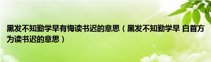 黑发不知勤学早有悔读书迟的意思（黑发不知勤学早 白首方为读书迟的意思）